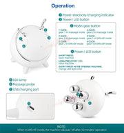 EMS Facial Massager: RF LED Therapy & Skin Tightening